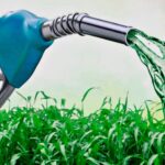 Selo Biocombustível Inclui Agricultura Familiar na Produção de Biodiesel