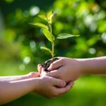 Escolas do Pará têm Até 30 de Junho para Participar do ‘Prêmio Escolas Sustentáveis’