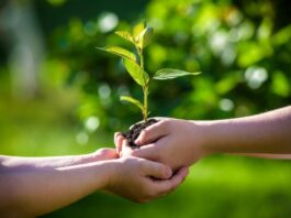 Escolas do Pará têm Até 30 de Junho para Participar do ‘Prêmio Escolas Sustentáveis’