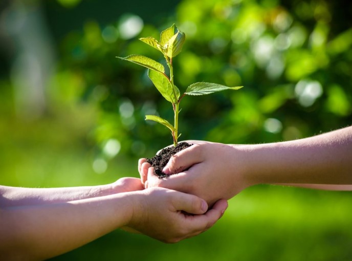 Escolas do Pará têm Até 30 de Junho para Participar do ‘Prêmio Escolas Sustentáveis’