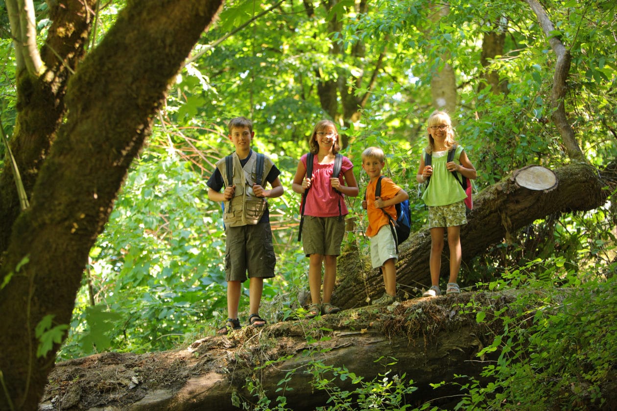 Mais tempo no verde está associado a menor pressão arterial, sistemas imunológicos fortalecidos...