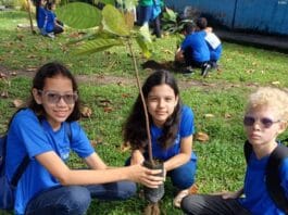 Escola Estadual do Benguí Compete ao Prêmio Liga STEAM 2024 com Projeto Sustentável