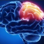 Recuperação de AVC Pode Estar nos Genes