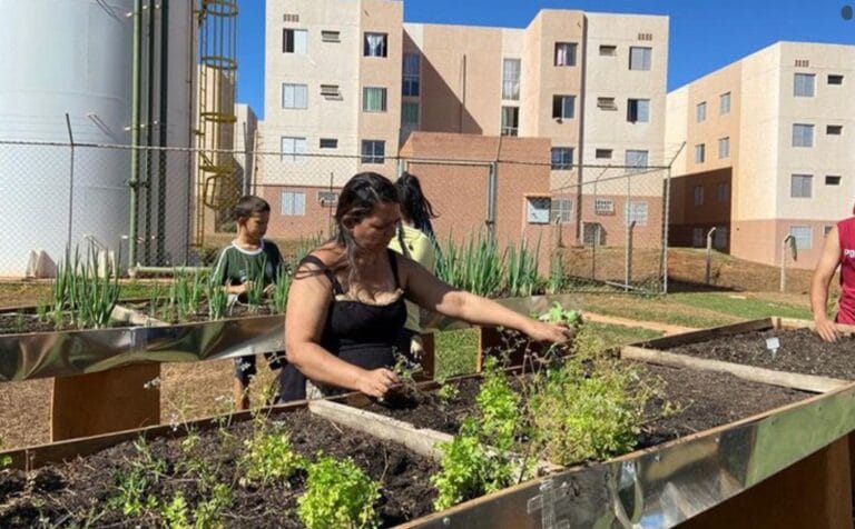 Presidente Lula Assina Lei Criando Política Nacional de Agricultura Urbana e Periurbana