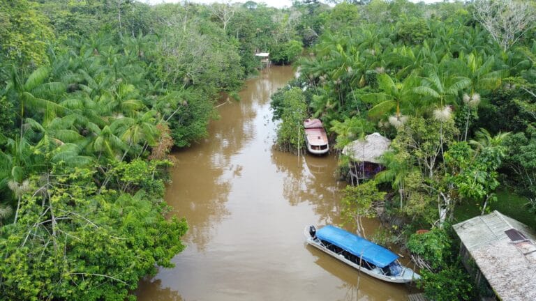 Verão Amazônico: Belém e Suas Ilhas Revelam Paraísos Naturais
