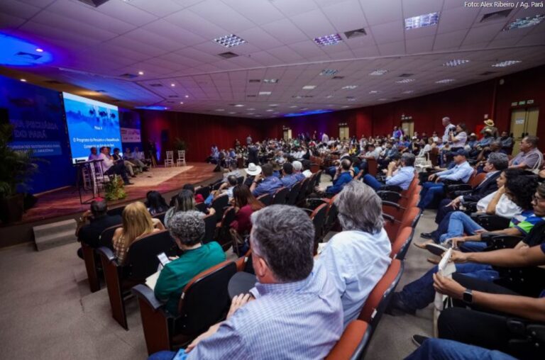 Pará Lança Programa para Desbloquear Venda de Gado em Áreas com Recuperação Ambiental