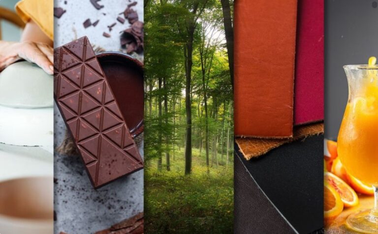 Programa Exporta Mais Brasil celebra um ano de sucesso com mais de 700 empresas beneficiadas