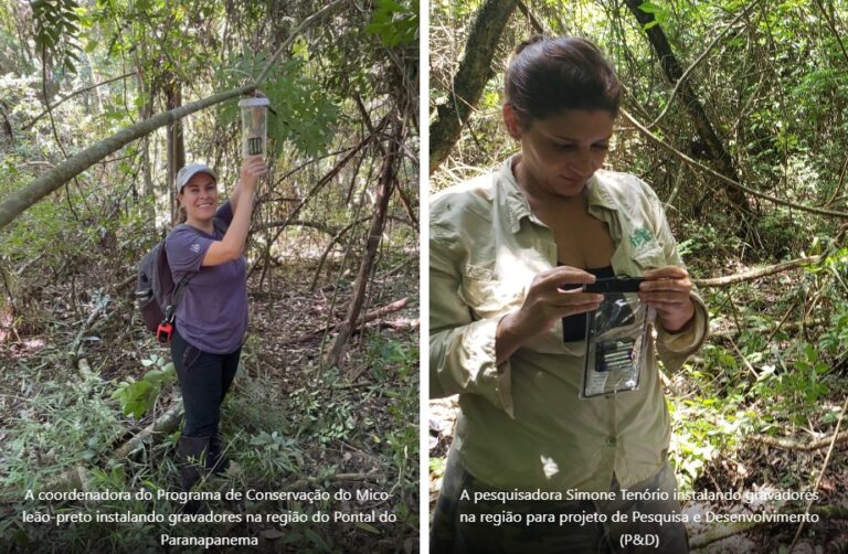 Tecnologias que Ajudam na Conservação da Biodiversidade