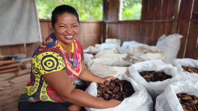 Oriximiná Sedia “Feira da Bioeconomia” com Foco na Geração de Riquezas Sustentáveis e Preservação da Floresta