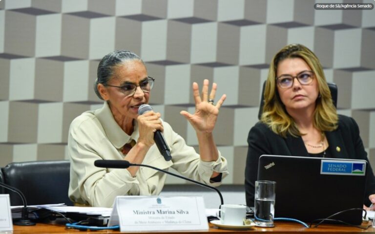 Marina Silva destaca ações do governo no combate a incêndios na Amazônia