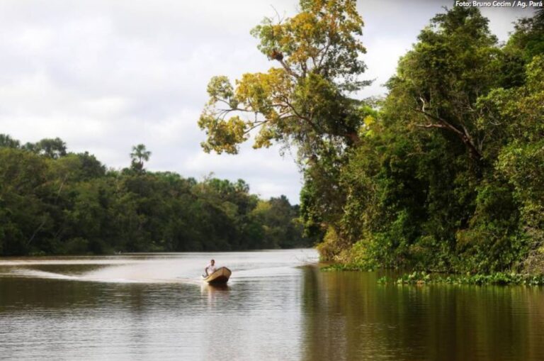 Pará comemora conquistas na preservação de suas Unidades de Conservação no Dia da Amazônia