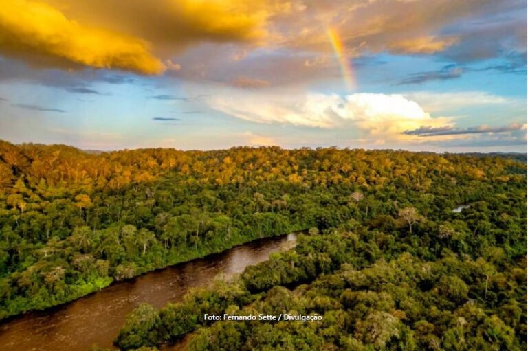 Governo do Pará sanciona lei do Plano Amazônia Agora para impulsionar conservação e desenvolvimento sustentável