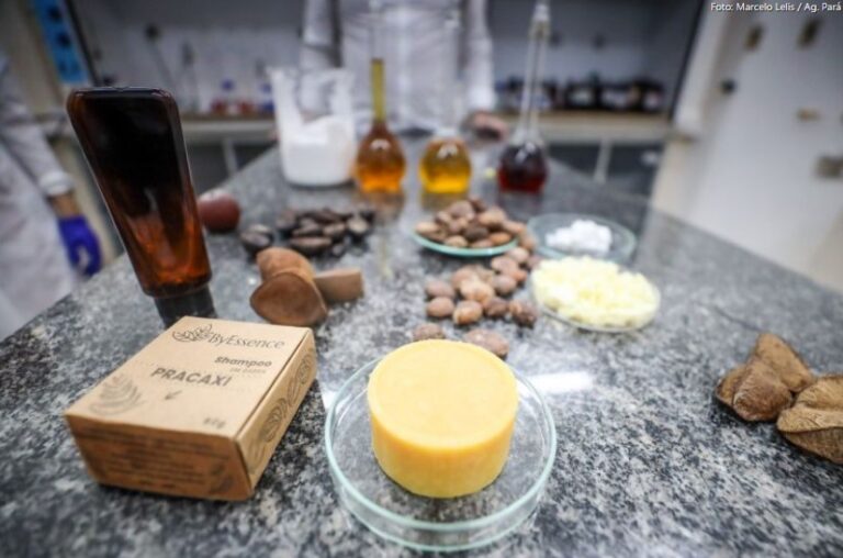 Fapespa Promove Pesquisa em Bioeconomia na Amazônia e no Pará