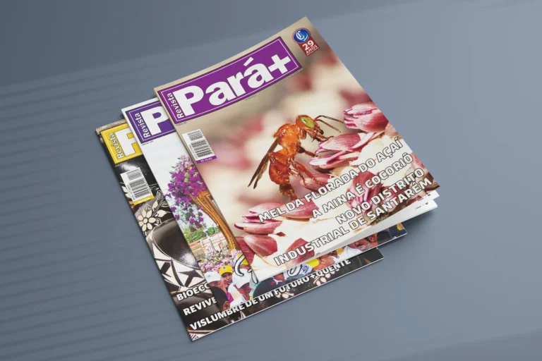 Edição 271 da Revista Pará+ explora o potencial econômico e ambiental do Pará