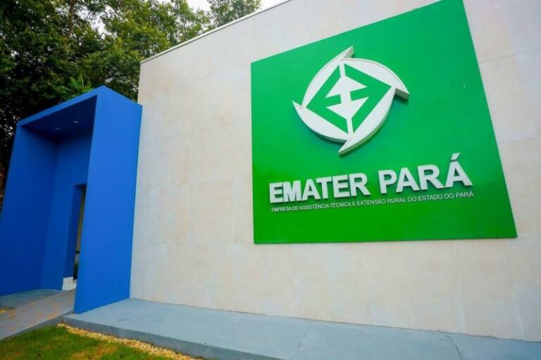 Instituída Lei Estadual da Semana da Extensão Rural no Pará em comemoração aos 59 anos da Emater