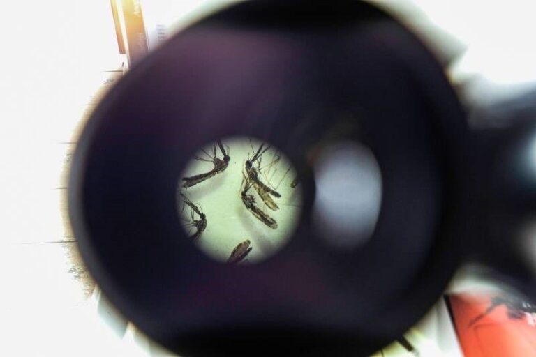 Sespa realiza Semana de Combate às Arboviroses no Pará