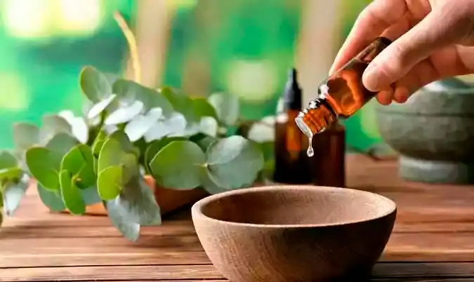 Pesquisadores da Uepa estudam fármacos derivados de sementes da Amazônia