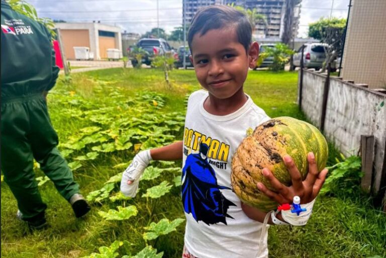 Com colheita de hortaliças, Hospital Metropolitano reforça importância de alimentação saudável para crianças
