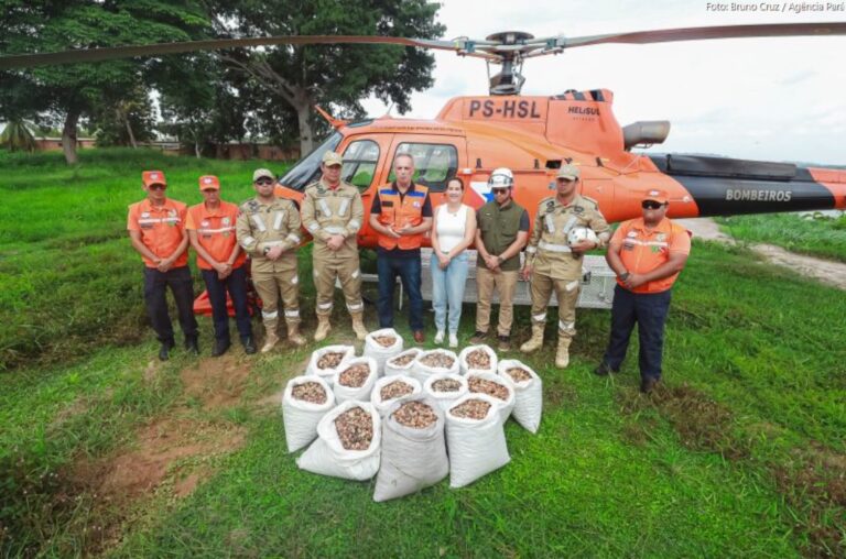 Governo do Pará realiza operação inédita para recuperar áreas afetadas por incêndios florestais no Pará