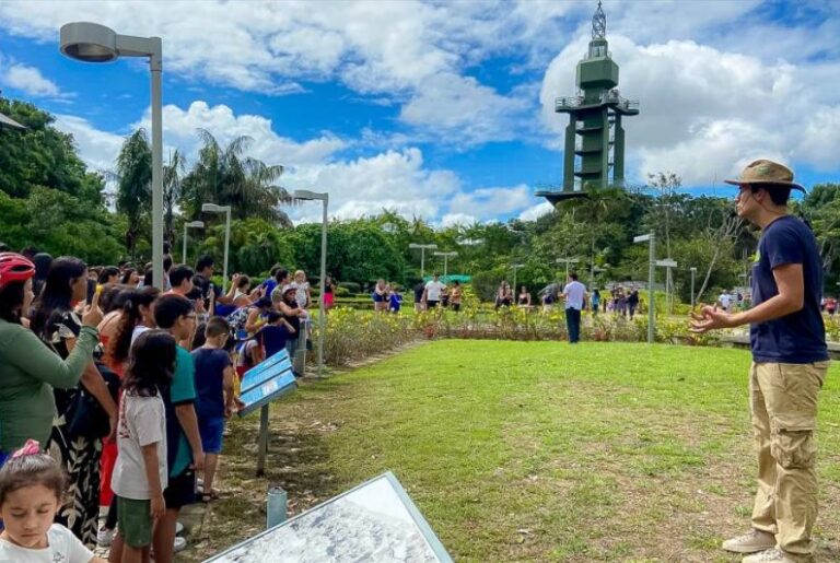 Mangal das Garças completa 20 anos preservando a biodiversidade amazônica