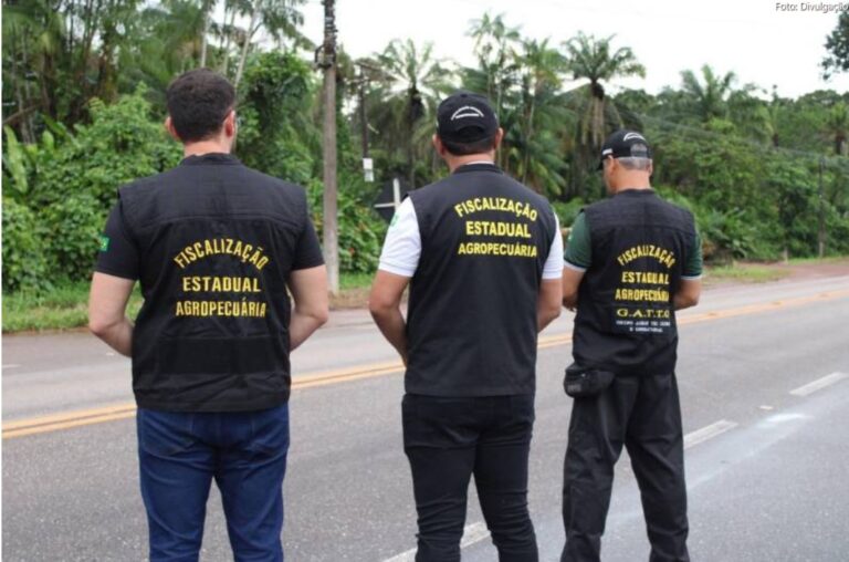 Adepará destaca os avanços da defesa agropecuária no Estado