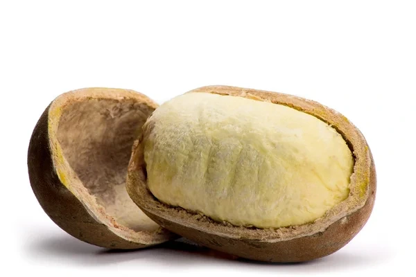 benefícios do cupuaçu