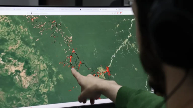 Fundamentais no combate ao desmatamento e à degradação ambiental na região