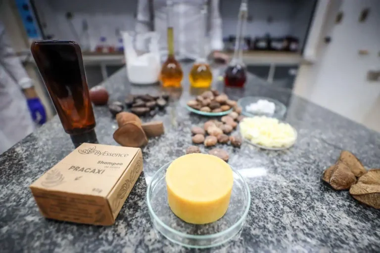 Mais de 50% das 92 ações previstas no Plano Estadual de Bioeconomia (Planbio) já foram implementadas ou estão em andamento no Pará