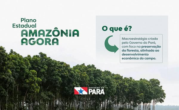 Plano Estadual Amazônia Agora (PEAA)   