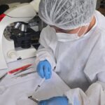 Belém dispõe de nove pontos para coleta do inseto barbeiro