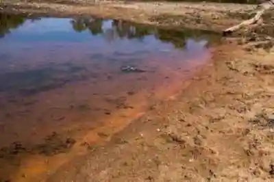 MPF identifica contaminação por metais pesados em comunidade Xikrin e responsabiliza Vale