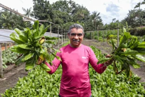 Agricultores familiares do Pará se preparam para abastecer a COP 30 com produtos locais