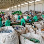 BNDES lança iniciativa para fortalecer cooperativas e ampliar renda de catadores