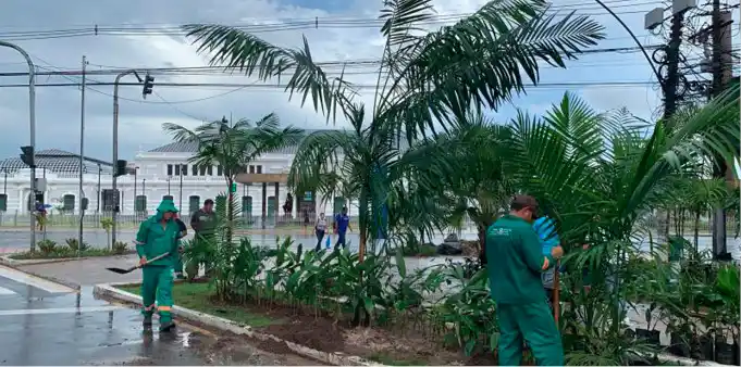 Calçadão agora é refúgio verde no coração da cidade