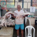 Decreto Municipal controla e limita da saída de pescado de Belém