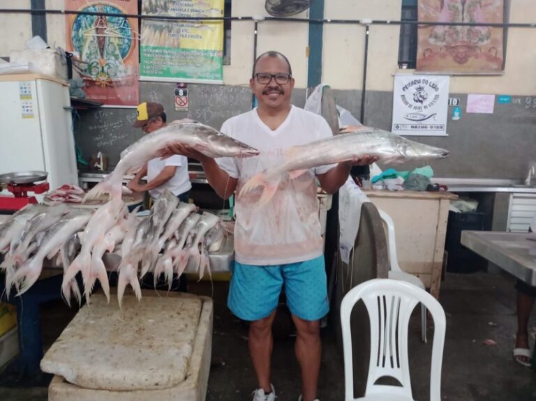 Decreto Municipal controla e limita da saída de pescado de Belém