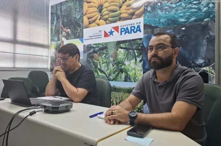 Plano ABC+ Pará vai capacitar servidores das Câmaras Técnicas que irão atuar junto aos produtores rurais paraenses