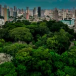 Belém a escolha certa, no coração da Amazônia que pulsa por justiça climática