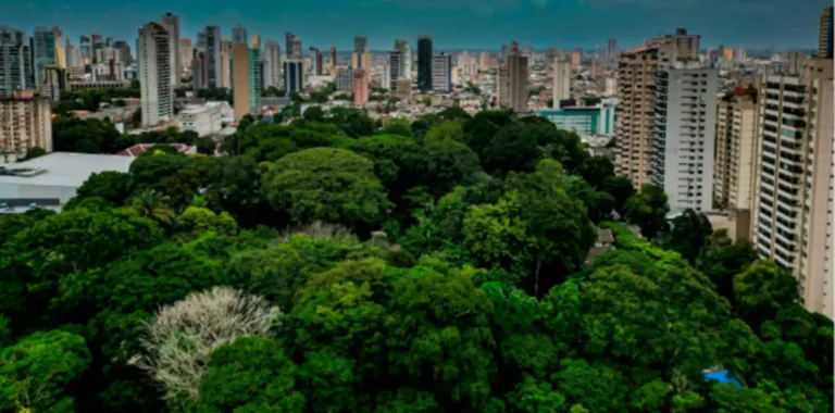 Belém a escolha certa, no coração da Amazônia que pulsa por justiça climática