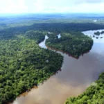 Marina silva e o redd+ no Pará: como o estado está liderando a preservação da Amazônia Marina Silva apoia o sistema de REDD+ dos estados. O Pará lidera com modelo participativo que envolve comunidades tradicionais e combate o desmatamento