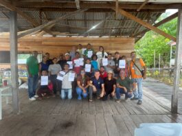 Marajó sustentável transforma anajás com força-tarefa da sedap e emater