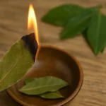 Queimando folhas de louro: o que acontece quando você faz isso em casa Queimando folhas de louro o que acontece quando você faz isso em casa