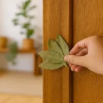 Saiba como as folhas de louro podem espantar energias ruins da sua casa Saiba como as folhas de louro podem espantar energias ruins da sua casa