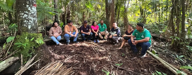 Um diagnóstico preliminar para alinhar as ações do BID às necessidades dos extrativistas