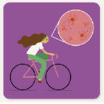 Muito exercício envelhece o cérebro mais rápido