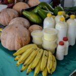 Dicas práticas para enfrentar o calor com Saúde e Bem-Estar Guia Prático para Enfrentar o Calor Forte no Estado do Pará com Saúde