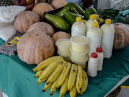 Dicas práticas para enfrentar o calor com Saúde e Bem-Estar Guia Prático para Enfrentar o Calor Forte no Estado do Pará com Saúde