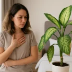 Comigo-ninguém-pode no quarto pode atrapalhar seu descanso Comigo-ninguém-pode no quarto pode atrapalhar seu descanso