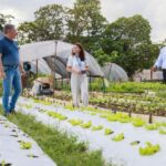 MDS amplia Estratégia Alimenta Cidades para 91 municípios