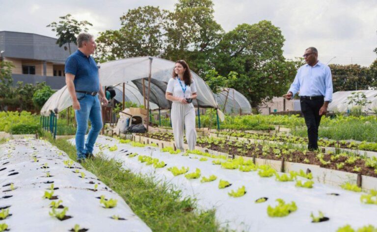 MDS amplia Estratégia Alimenta Cidades para 91 municípios